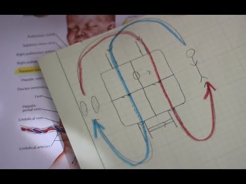 嬰兒出生瞬間的第一次呼吸