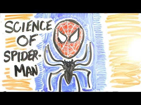 蜘蛛人的超能力解析