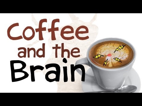 咖啡如何影響你的腦袋
