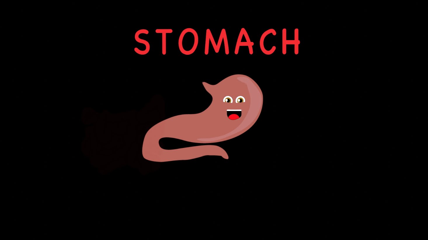 一首歌教你身體器官：腸胃篇