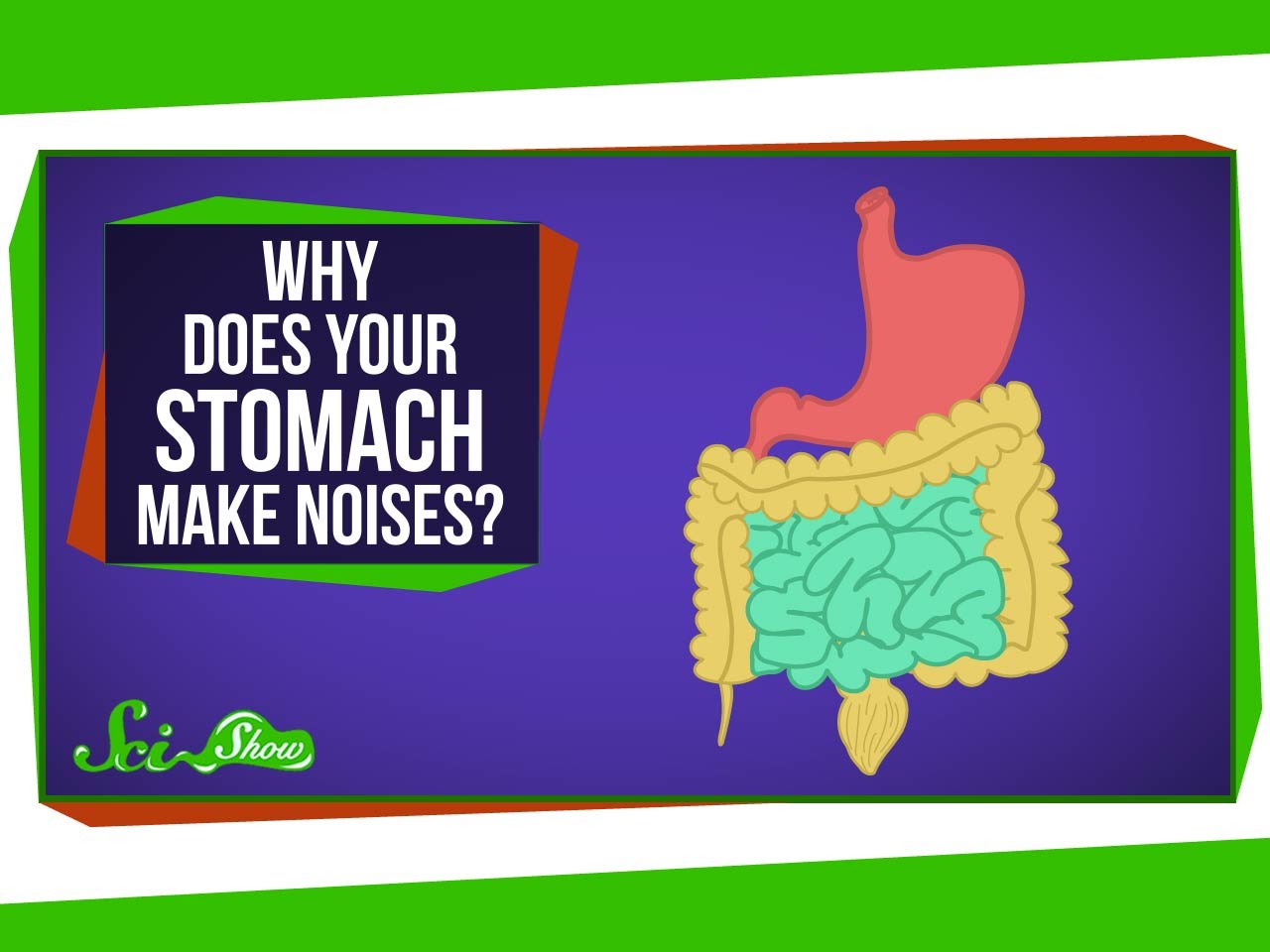 人體真奇妙：為什麼你的胃會發出怪聲音？