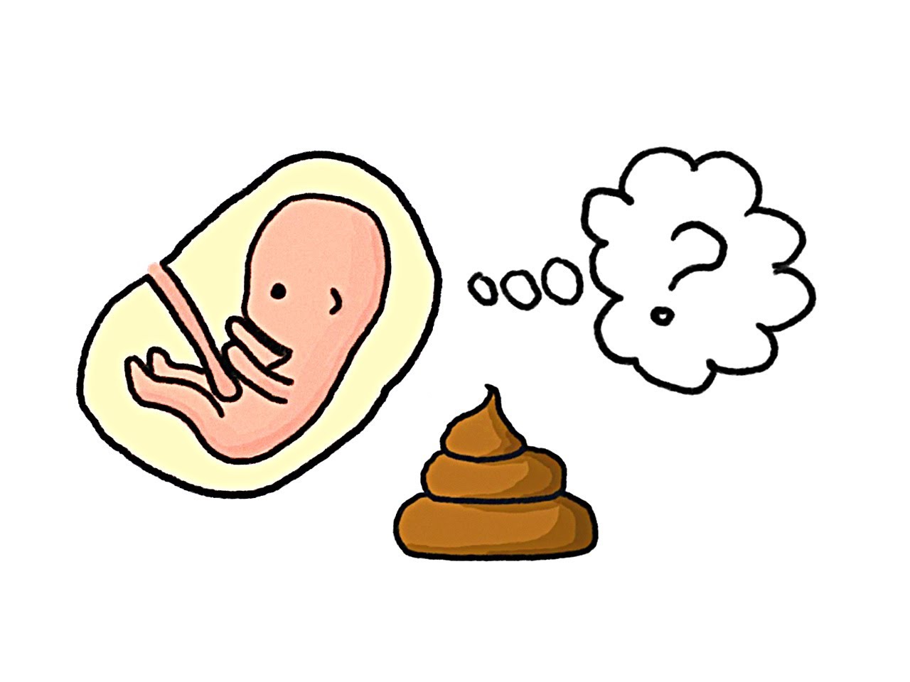 胎兒會便便嗎？
