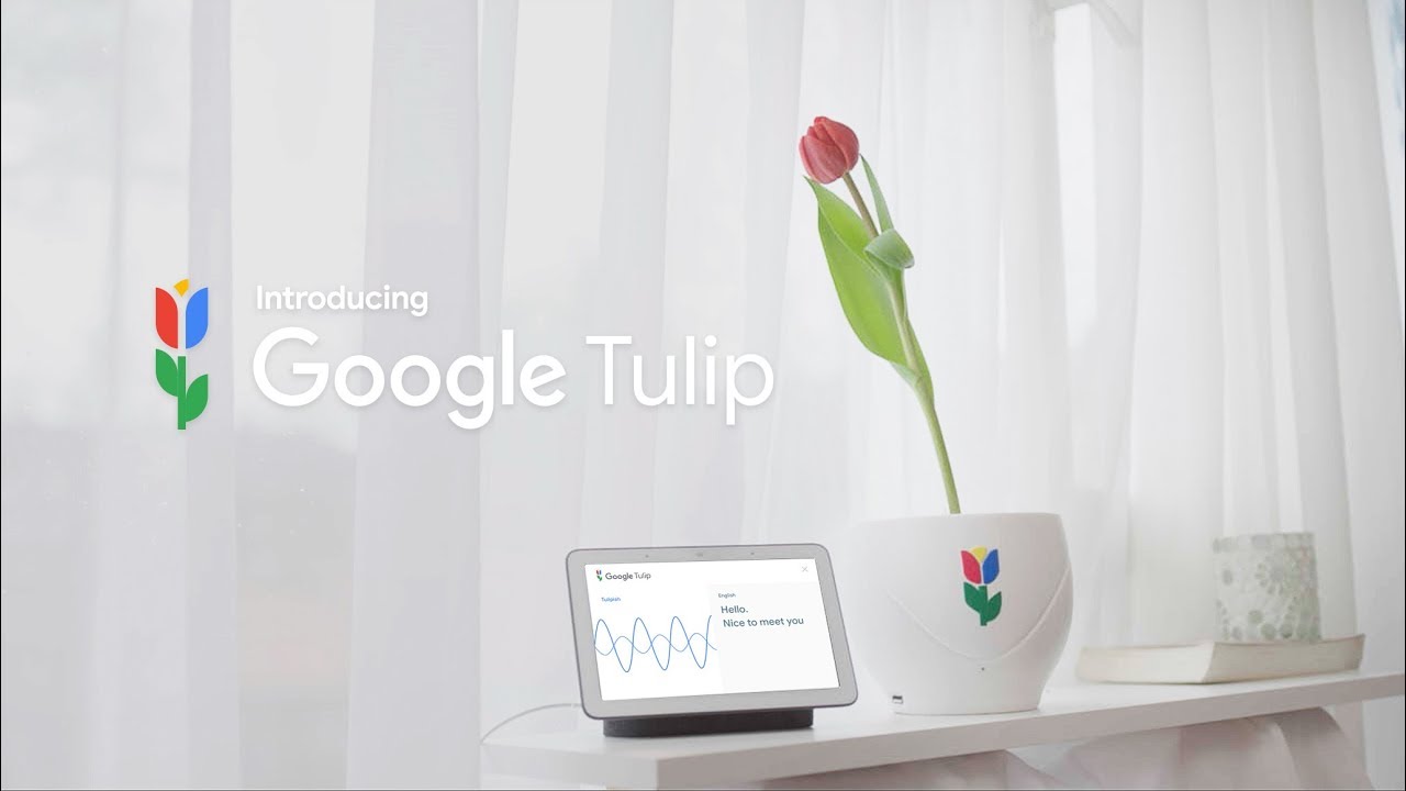 Google 全新產品 Google Tulip？！竟然可以跟植物說話？！